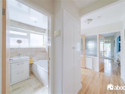 Picture 14
